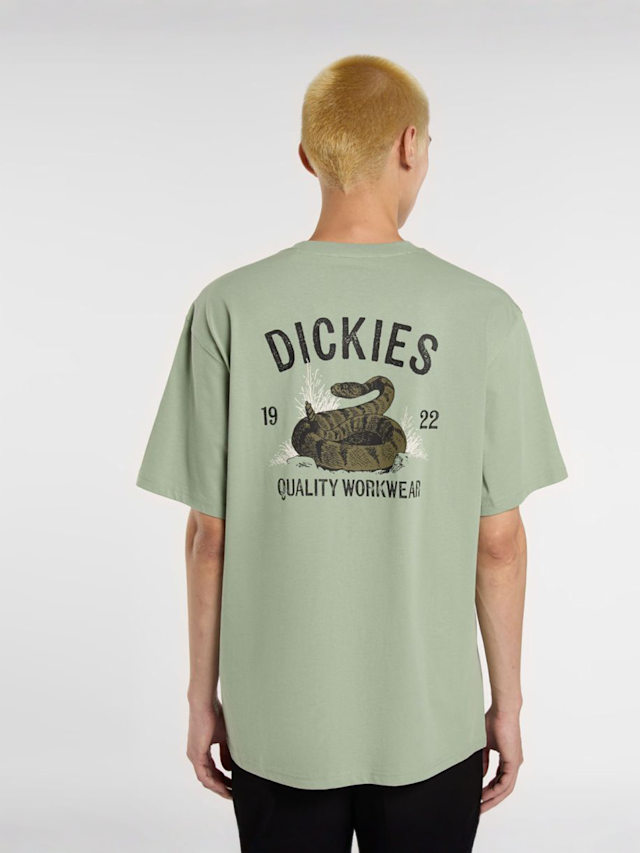 Dickies, Snake Tee, green, Image 1 of 5