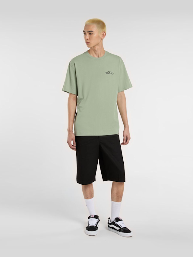 Dickies, Snake Tee, green, Image 5 of 5