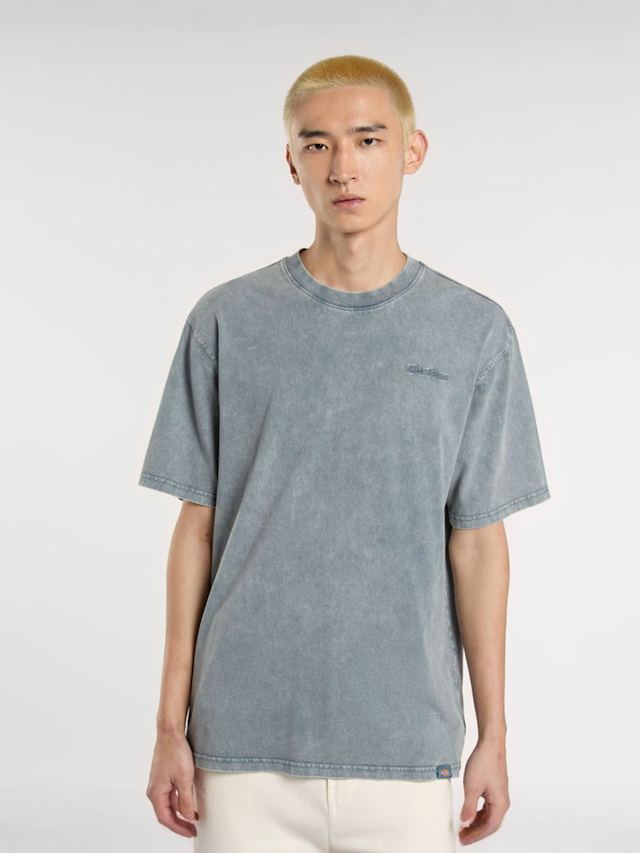 Dickies, Plentywood Tee, blauw, Afbeelding 1 van 5