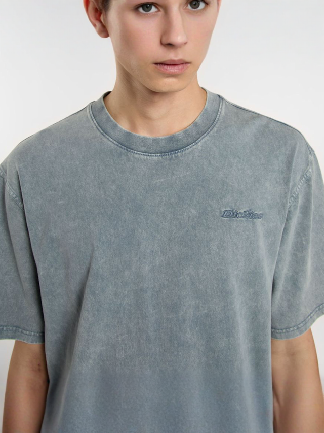 Dickies, Plentywood Tee, blue, Image 3 of 5