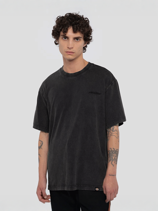 Dickies, Plentywood Tee Short Sleeve, grey, Image 1 of 5