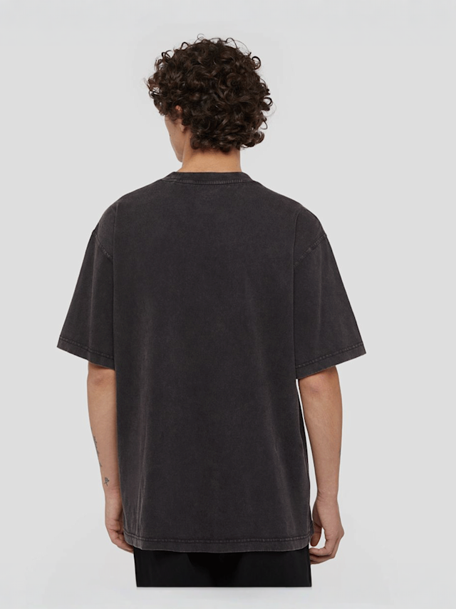 Dickies, Plentywood Tee Short Sleeve, grey, Image 2 of 5