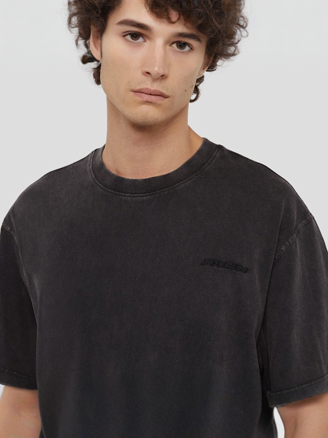 Dickies, Plentywood Tee Short Sleeve, grey, Image 3 of 5