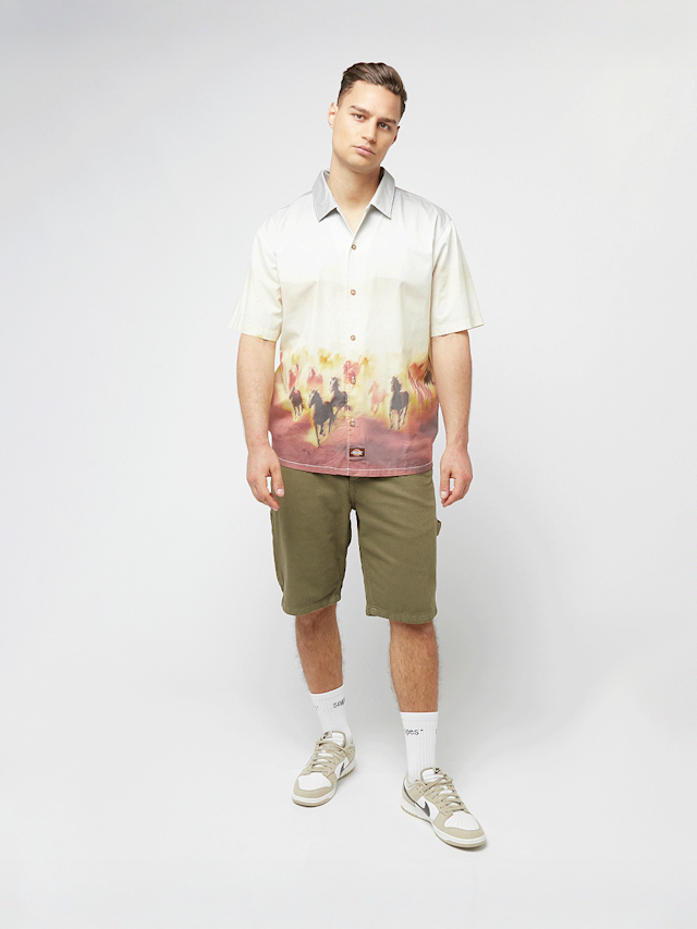 Dickies, Garyville Denim Short, green, Image 5 of 5