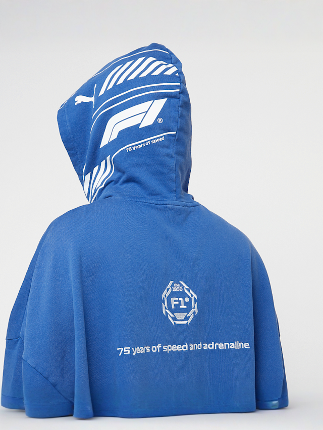PUMA, F1 Hoodie, blauw, Afbeelding 6 van 7