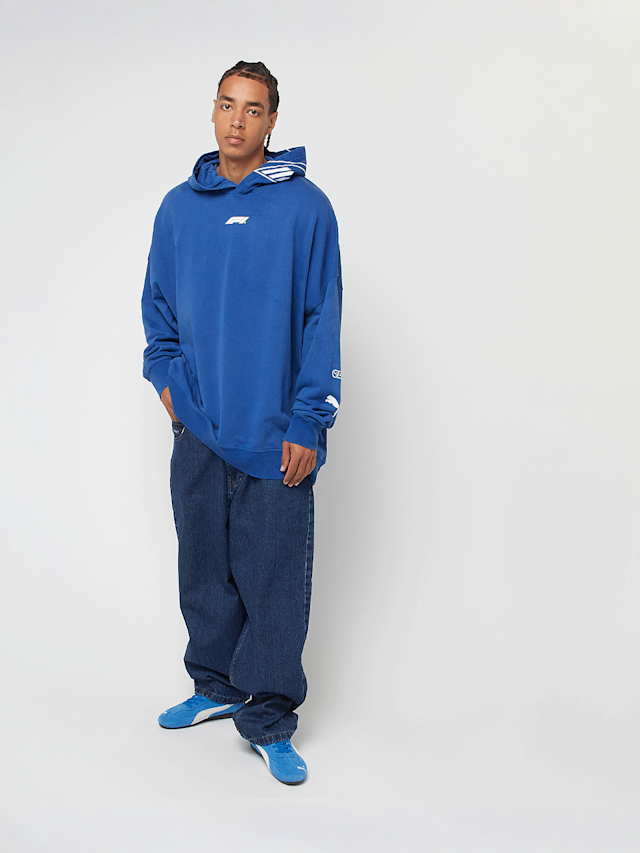 PUMA, F1 Hoodie, blauw, Afbeelding 7 van 7