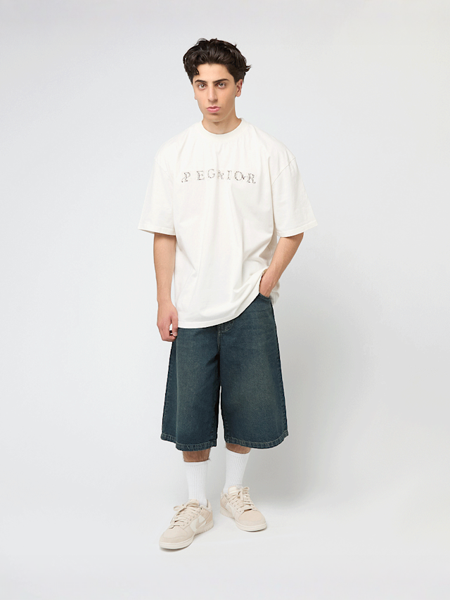 Pegador, Zenor Oversized Tee, beige, Image 5 of 5