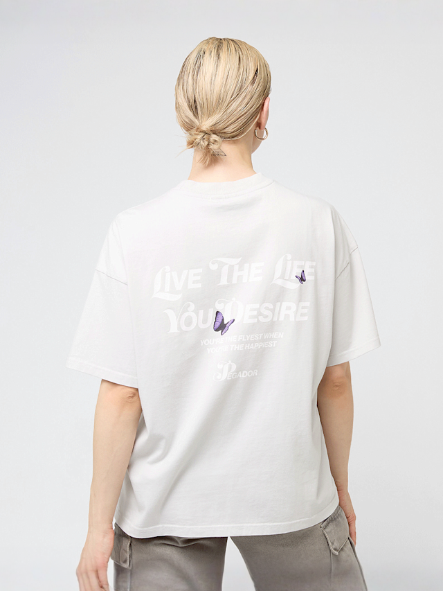 Pegador, Noria Heavy Oversized Tee, szary, Obraz 1 z 5