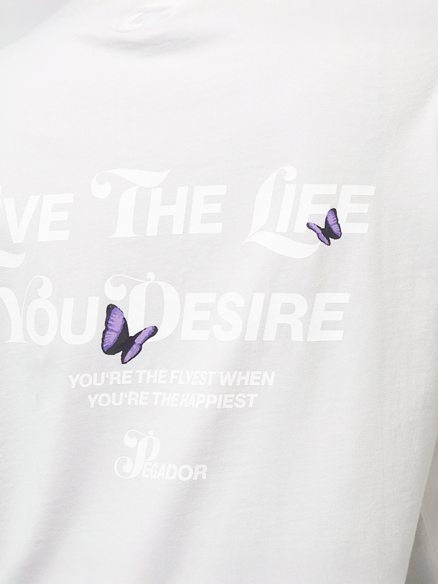 Pegador, Noria Heavy Oversized Tee, grey, Image 4 of 5