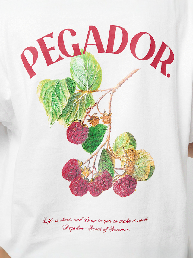 Pegador, Malli Heavy Oversized Tee, biały, Obraz 4 z 5