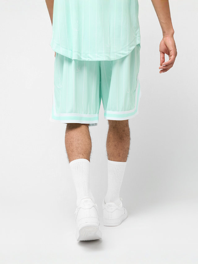 Karl Kani, Small Varsity Logo Pinstripe Mesh Shorts, blue, Image 2 of 4