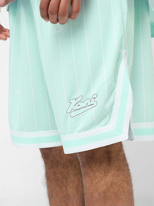Karl Kani, Small Varsity Logo Pinstripe Mesh Shorts, blue, Image 3 of 4