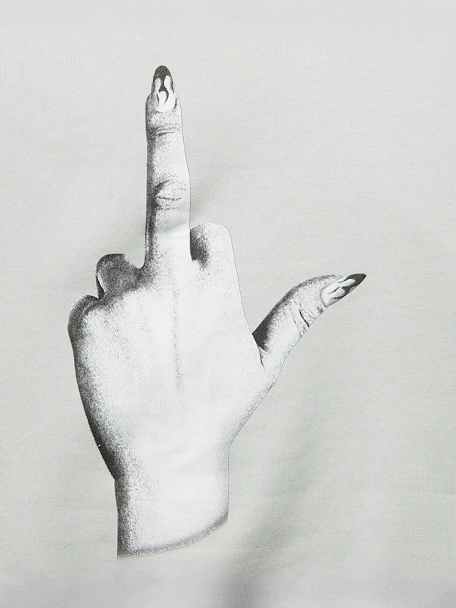 Miss Tee, I Dont Give A Hoody, grey, Image 4 of 5