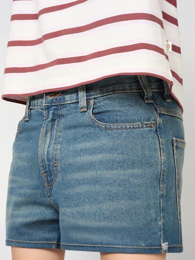 Dickies, HILHAM DENIM dark indigo, blue, Image 3 of 5