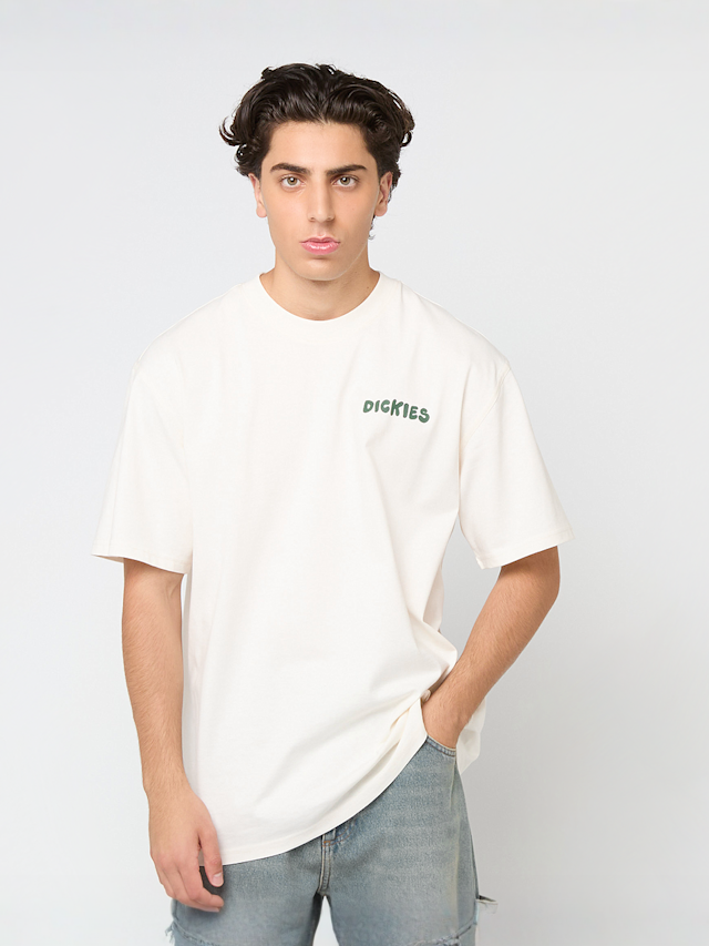 Dickies, Gordonsville Short Sleeve Tee, beige, Image 2 of 5