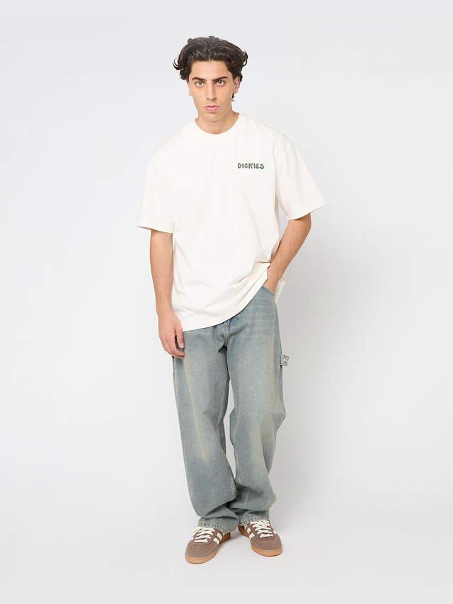 Dickies, Gordonsville Short Sleeve Tee, beige, Image 5 of 5