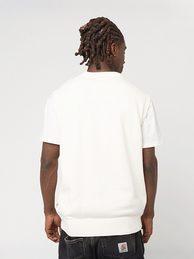 Dickies, SUMMERDALE SWEATER VEST egret, beige, Image 2 of 4