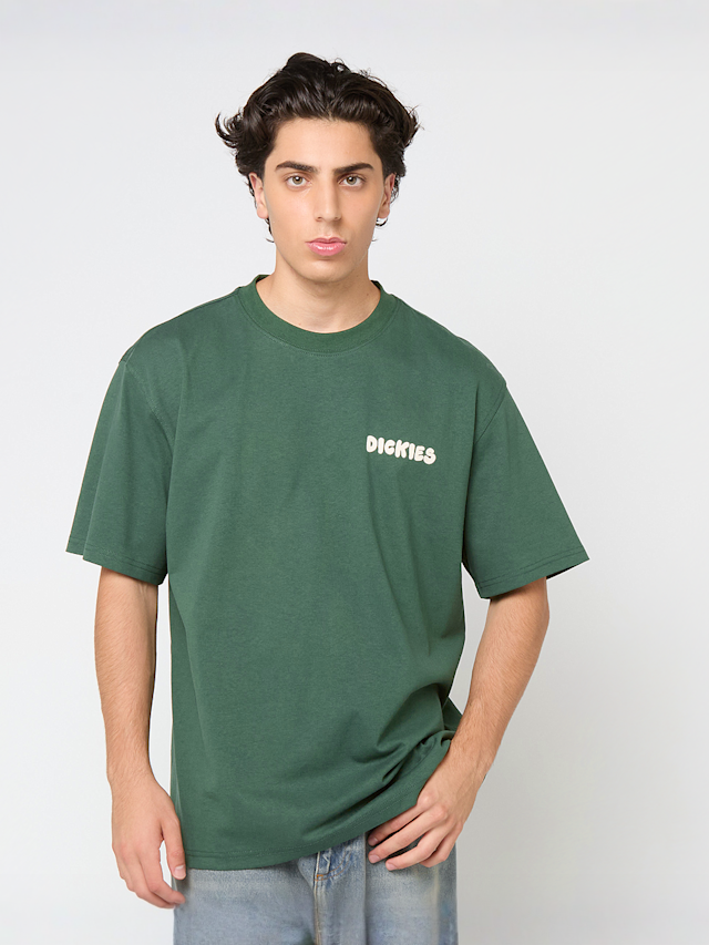Dickies, Gordonsville Short Sleeve Tee, zielony, Obraz 2 z 5