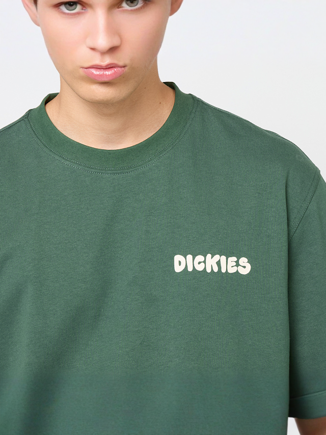 Dickies, Gordonsville Short Sleeve Tee, zielony, Obraz 3 z 5