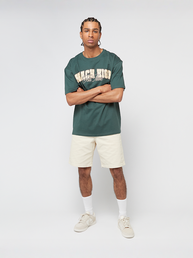 Mister Tee, Reach High Fear None Oversize Tee, green, Image 4 of 4