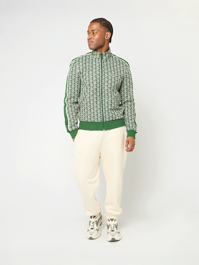 Lacoste, SWEATSHIRTS khaki, groen, Afbeelding 6 van 6