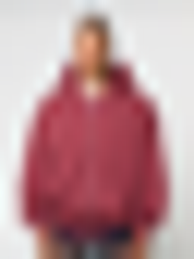 Karl Kani, Kani Western Os Zip Hoodie, red, Image 2 of 5