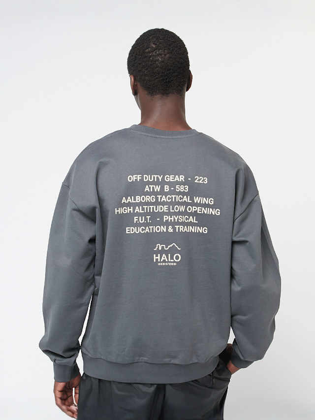 HALO, Graphic Boxy Crew, grey, Image 1 of 5