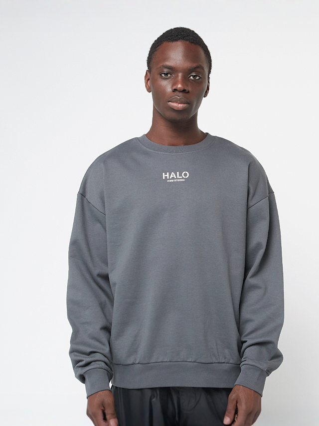 HALO, Graphic Boxy Crew, grijs, Afbeelding 2 van 5