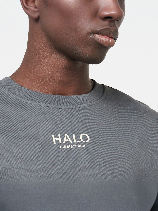 HALO, Graphic Boxy Crew, grijs, Afbeelding 3 van 5