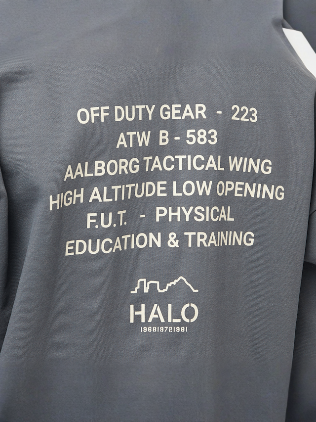 HALO, Graphic Boxy Crew, grey, Image 4 of 5