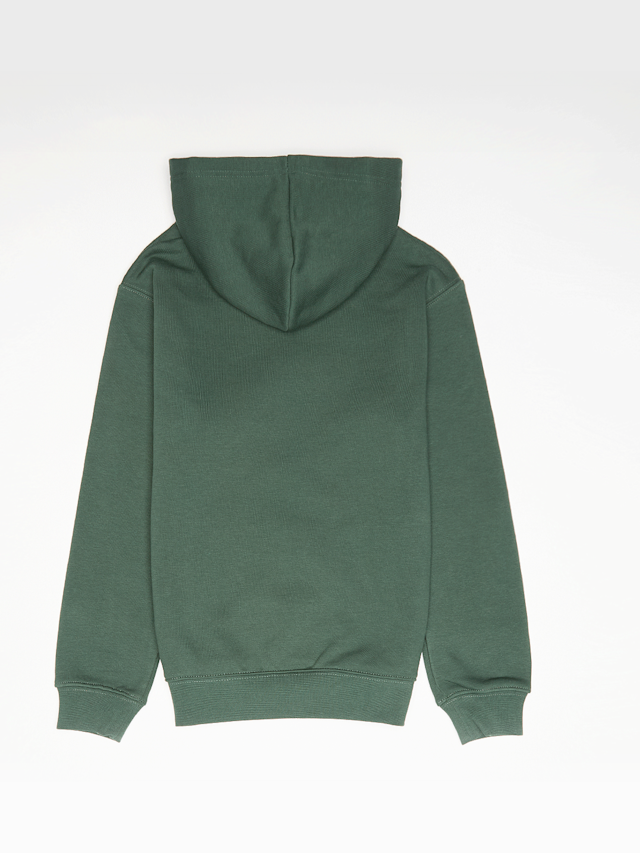 Jordan, MJ Brooklyn Fleece Pullover Hoodie, green, Image 2 of 4