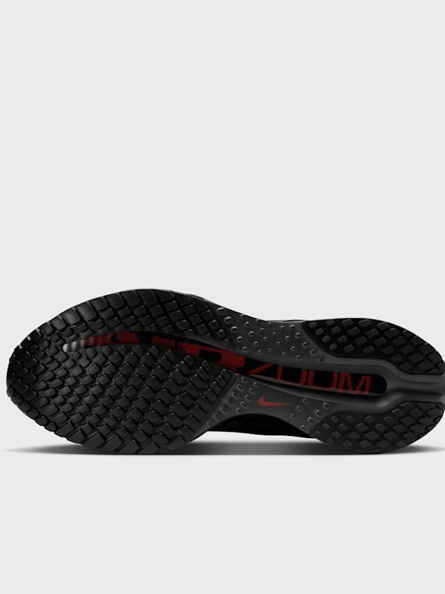 Nike, Nike Pegasus Premium, brown, Image 5 of 9