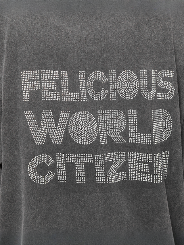 Felicious, Vinatge Oversize T-Shirt Rhinestones, grey, Image 4 of 5