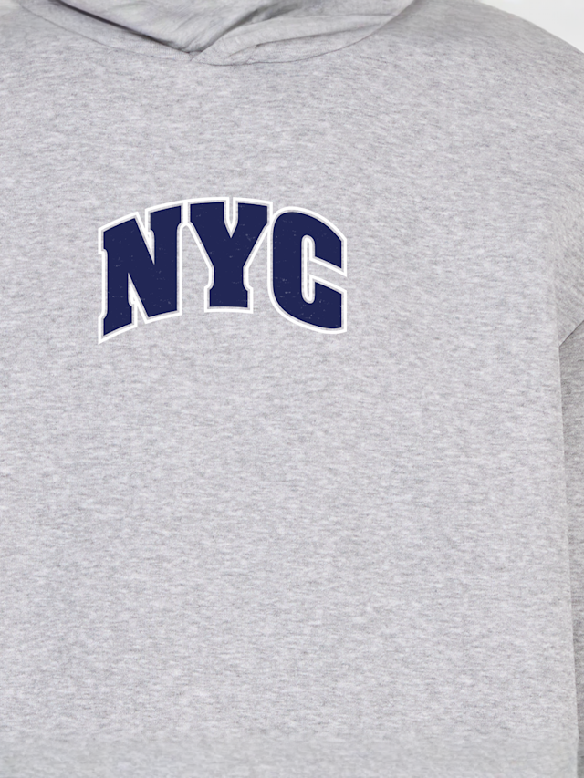 Mister Tee, NYC College Letters Fluffy Hoody heathergrey, grey, Image 3 of 3