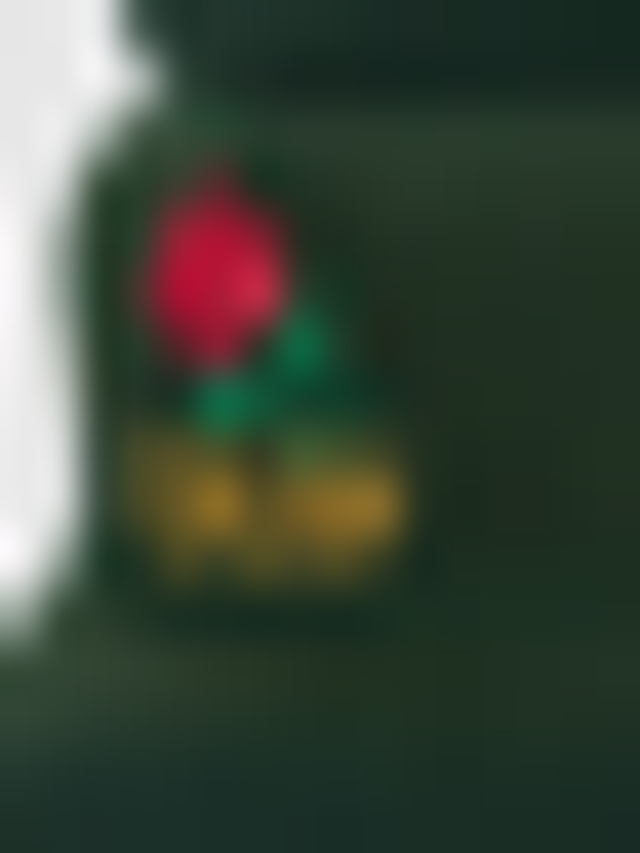 Field Grade, Have A Nice Day Twill Mesh Trucker, green, Image 4 of 4