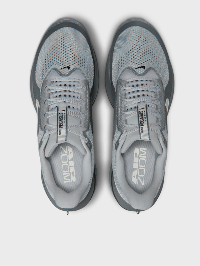 Nike, Pegasus Premium, grey, Image 6 of 9