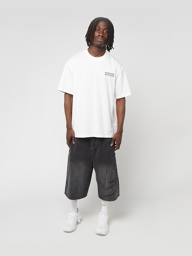 Dickies, Plain City Short Sleeve Tee, white, Image 5 of 5