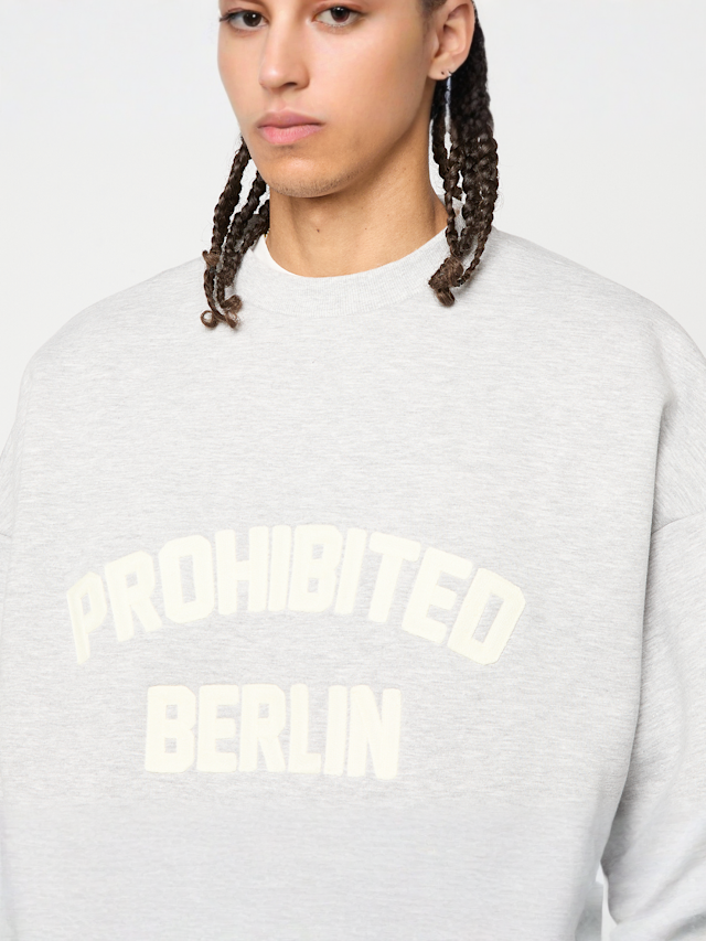 Prohibited, Berlin Crew Neck, grey, Image 3 of 4