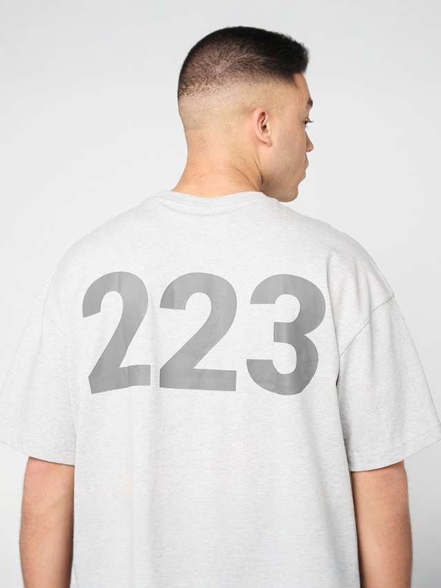 HALO, Graphic Boxy T-Shirt, grey, Image 4 of 5