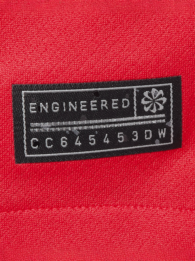 Nike, Vitinha / No. 17 / PSG Nike Third Stadium 2025/26, red, Image 4 of 7