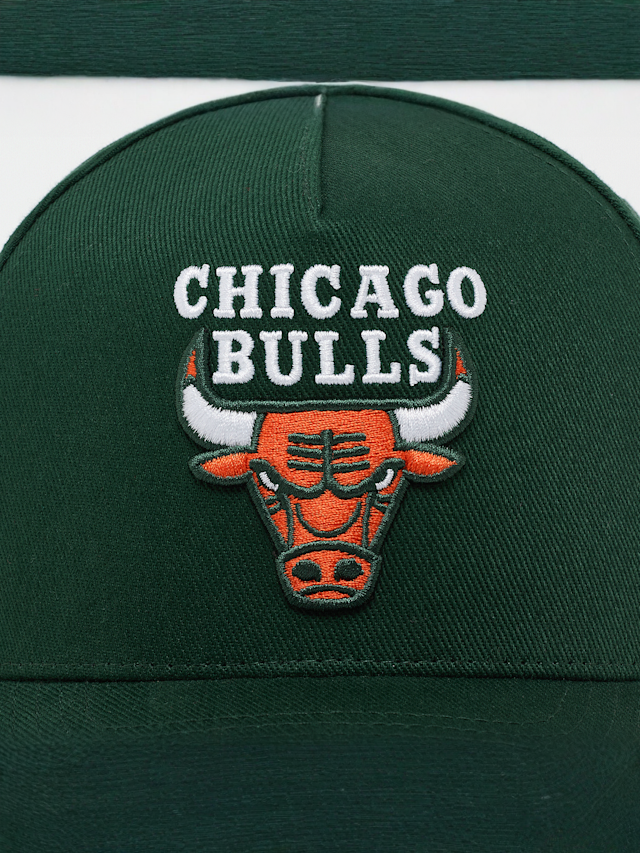 Mitchell & Ness, Pro Crown NBA Chicago Bulls, green, Image 5 of 5