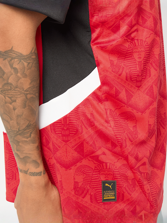 PUMA, Egyptian FA Home Jersey Replica, red, Image 7 of 9