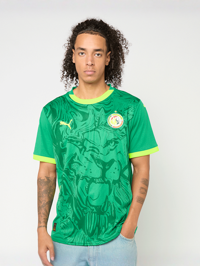 PUMA, FIF Home Jersey Replica, green, Image 1 of 9