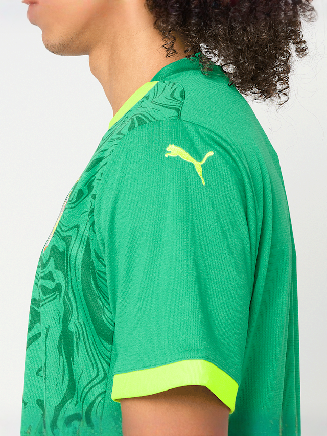 PUMA, FIF Home Jersey Replica, zielony, Obraz 4 z 9