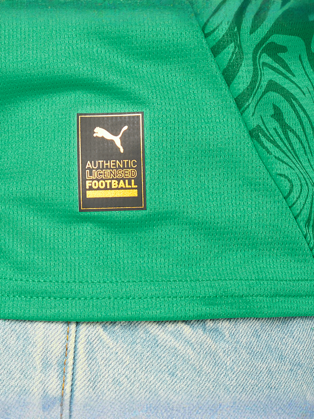 PUMA, Fédération Sénégalaise de Football Home Jersy Replica, green, Image 7 of 9