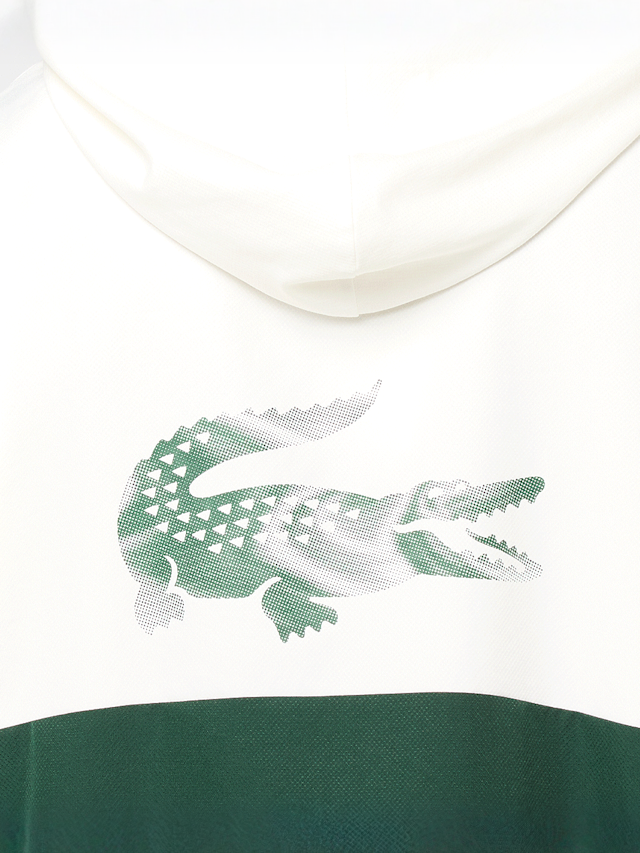 Lacoste, TRAININGSANZÜGE graphite/black-elephant grey, green, Image 5 of 9