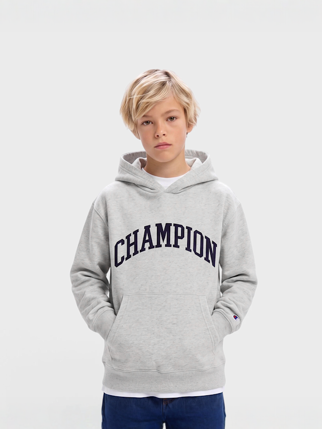 Champion, Hooded Sweatshirt, grey, Image 1 of 4