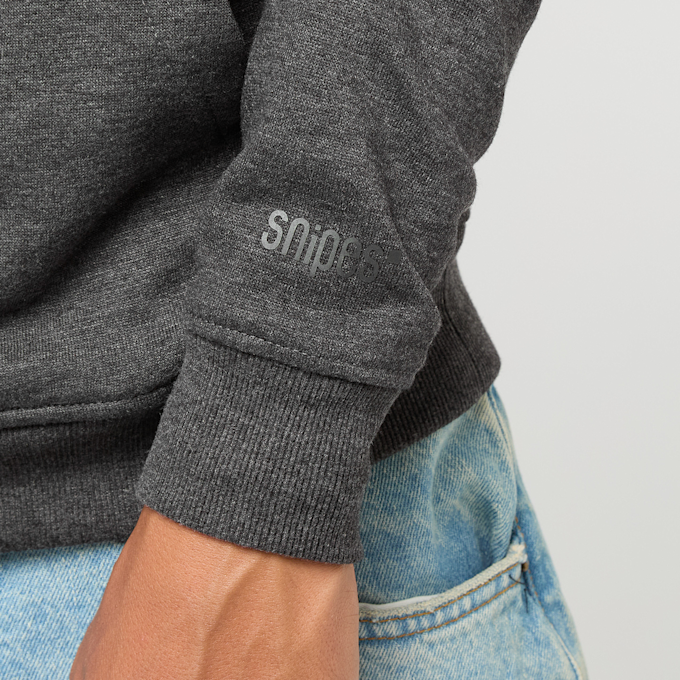 SNIPES Small Basic Logo Hoodie cinzento 259 4