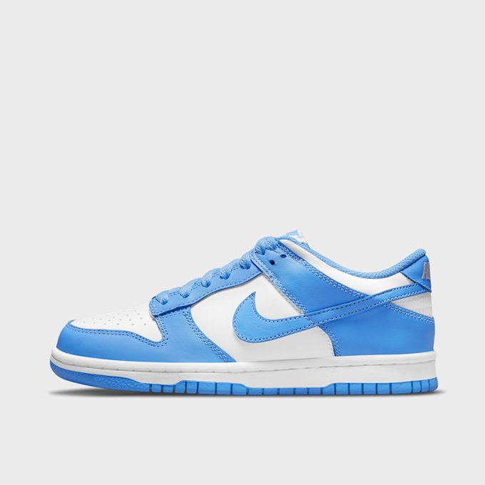 Nike Dunk Low (GS) bleu 2103 1