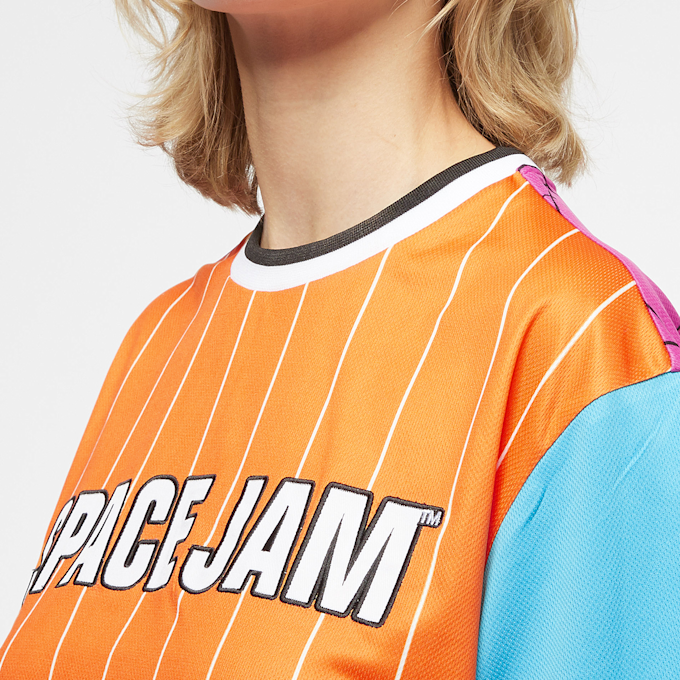 SNIPES Space Jam: A New Legacy Logo Character Pinstripe Mesh Tee multicolor 2886 4